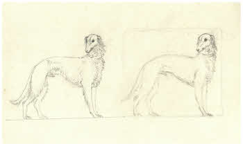 Visualizza l'immagine "FD D 1881"